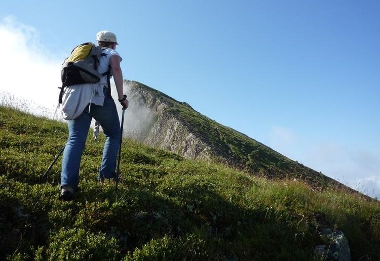 Ein durchwachsenes Jahr f&uuml;r K&auml;rntens Almen