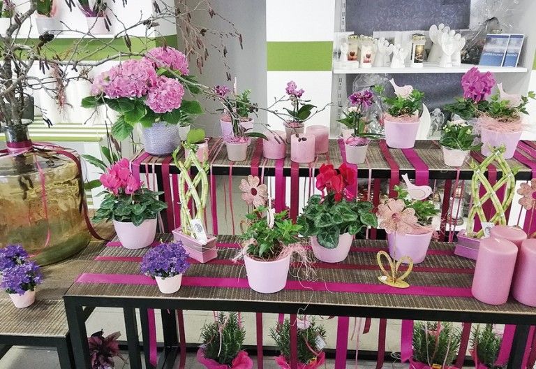 Claudias Blumenschmuck nun auch in Sillian