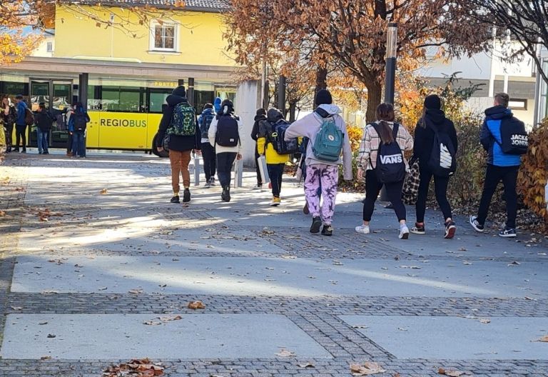 Palfrader: Distance learning und ortsungebundener Unterricht