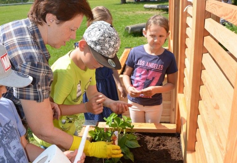 Gesunde Jause direkt aus dem Hochbeet