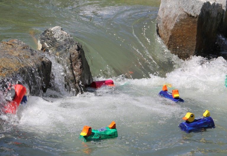 Auch im Gailtal setzt man auf Enten