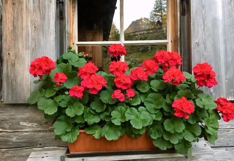 Herzlichen Gl&uuml;ckwunsch &ndash; Walter Mair