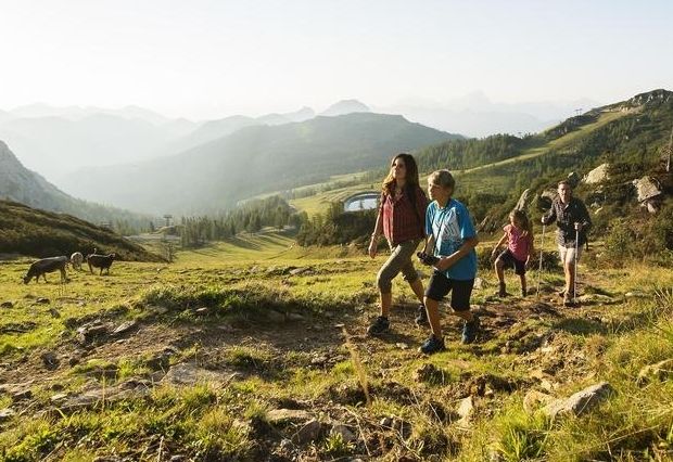 Sommersaison besser als erwartet