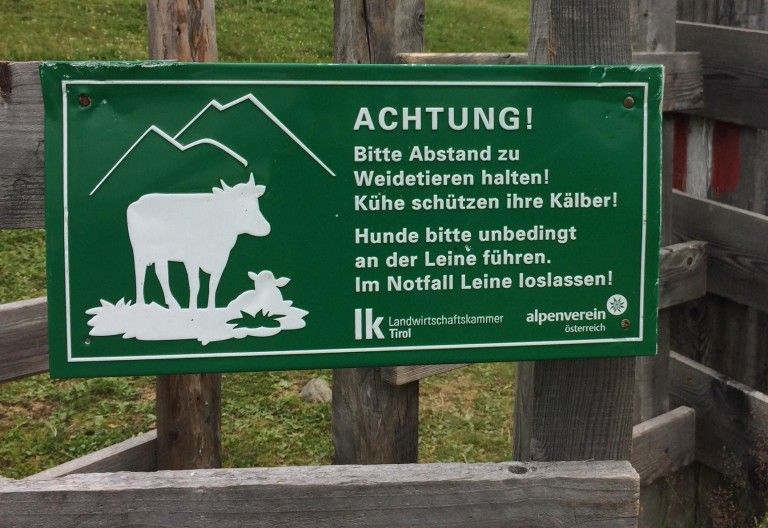 Land will Almbauern Rechtssicherheit bieten