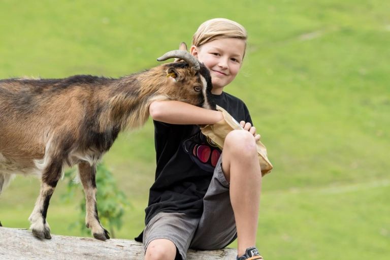 Wildpark Assling: Tiere f&uuml;ttern - aber richtig