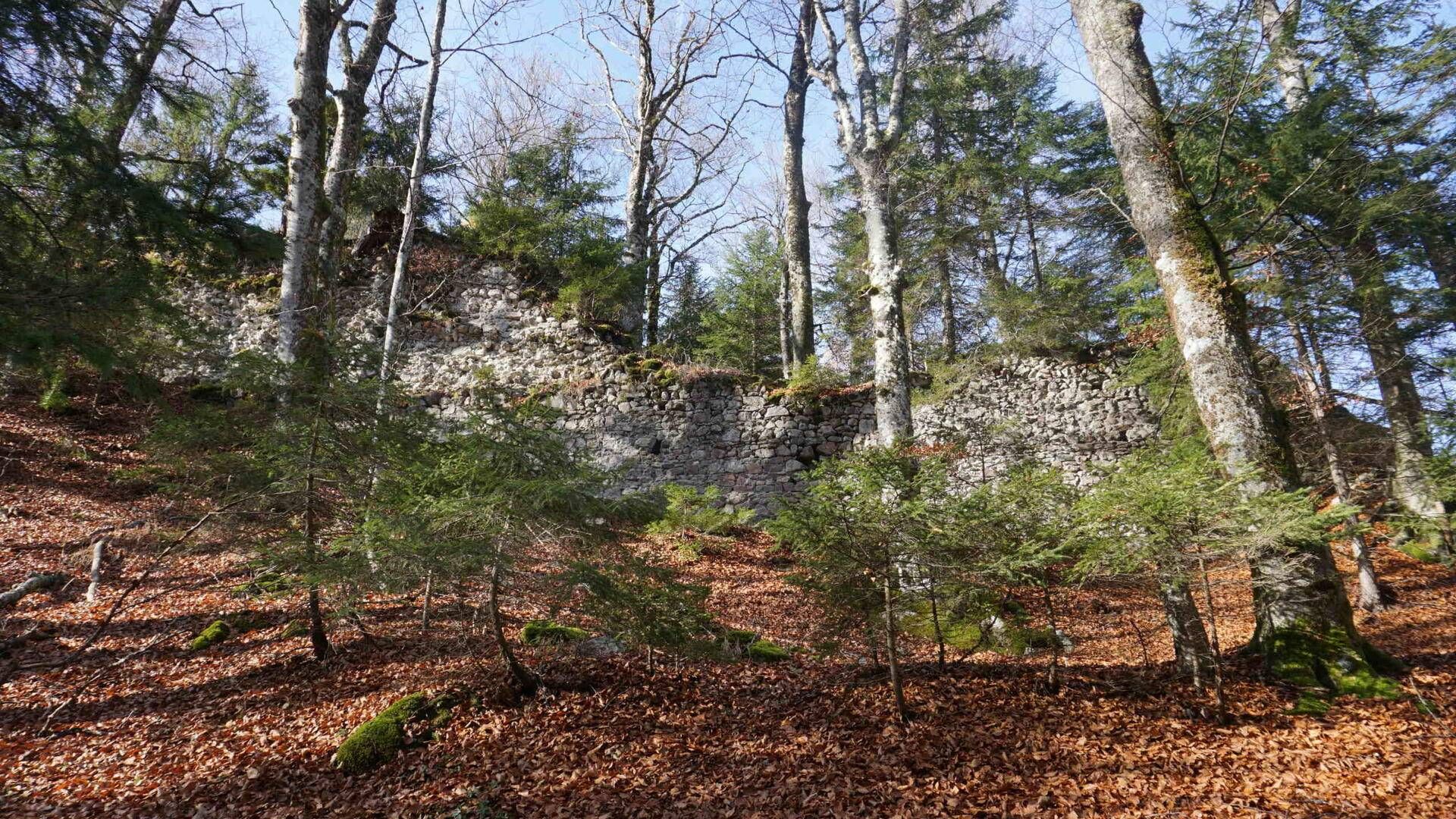 Burgruine Pittersberg. Foto: Christiane Wolfgang