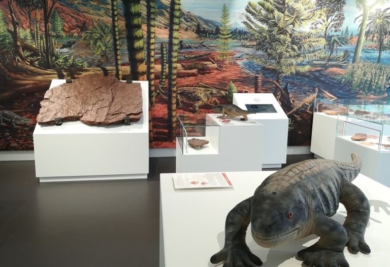 &bdquo;Gailtal-Dinos&ldquo; sind die &auml;ltesten &Ouml;sterreichs