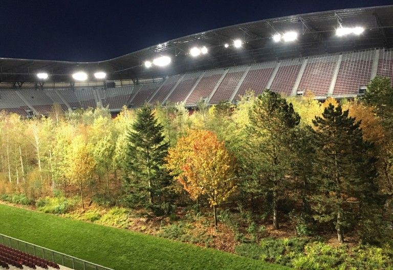 Letzte Chance diesen Wald in Klagenfurt zu sehen