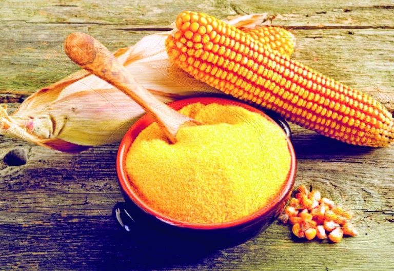 Warum Heimvorteil auf Ehrlichkeit baut