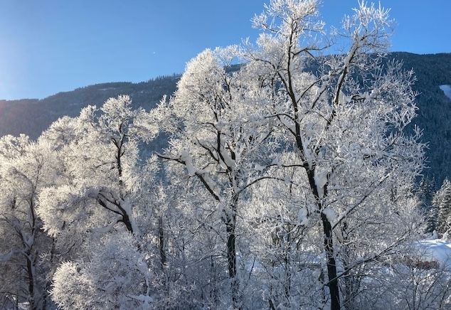 Umfrage: Was tun, wenn es so kalt ist?