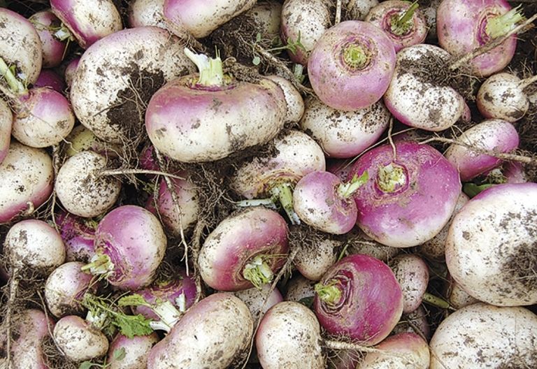 Warum man Heimvorteil mitunter riechen kann