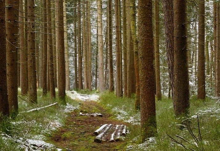 Generalversammlung des Waldpflegevereines Lienz