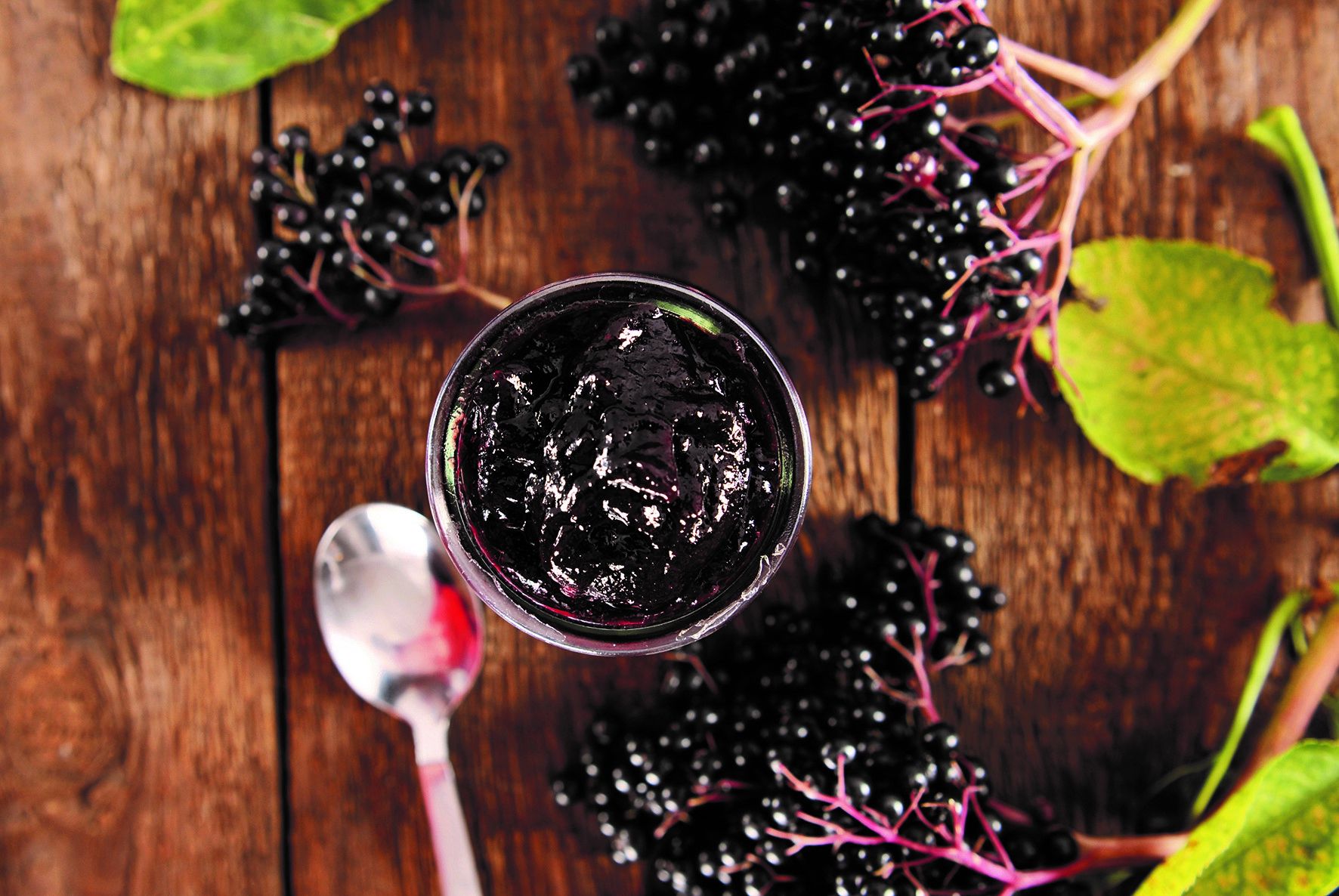 Das Gelee der schwarzen Hollerbeeren schmeckt und hat viele Vitamine. Symbolfoto