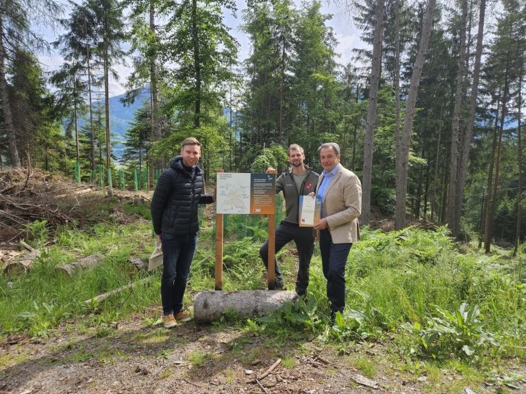 In Tristach entstehen Laubwaldinseln