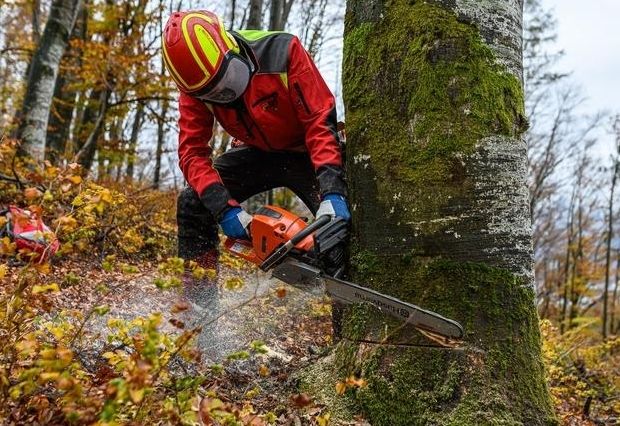 Gro&szlig;e Schadholzmengen erh&ouml;hen Unfallgefahr bei Waldarbeit