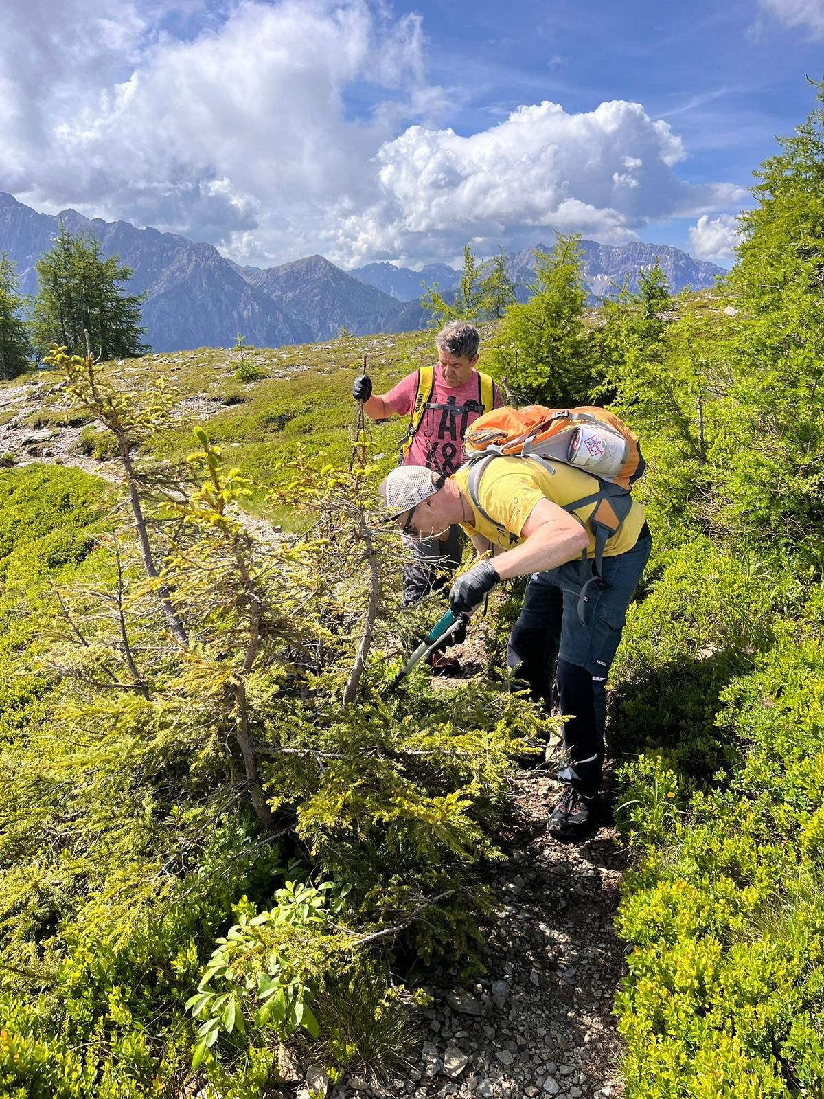 Wegausschneiden &copy; Waltraud Zaiser