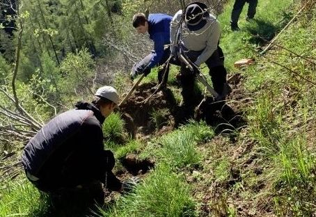 Jungbauern sanierten 78.000 m Wanderwege in Osttirol