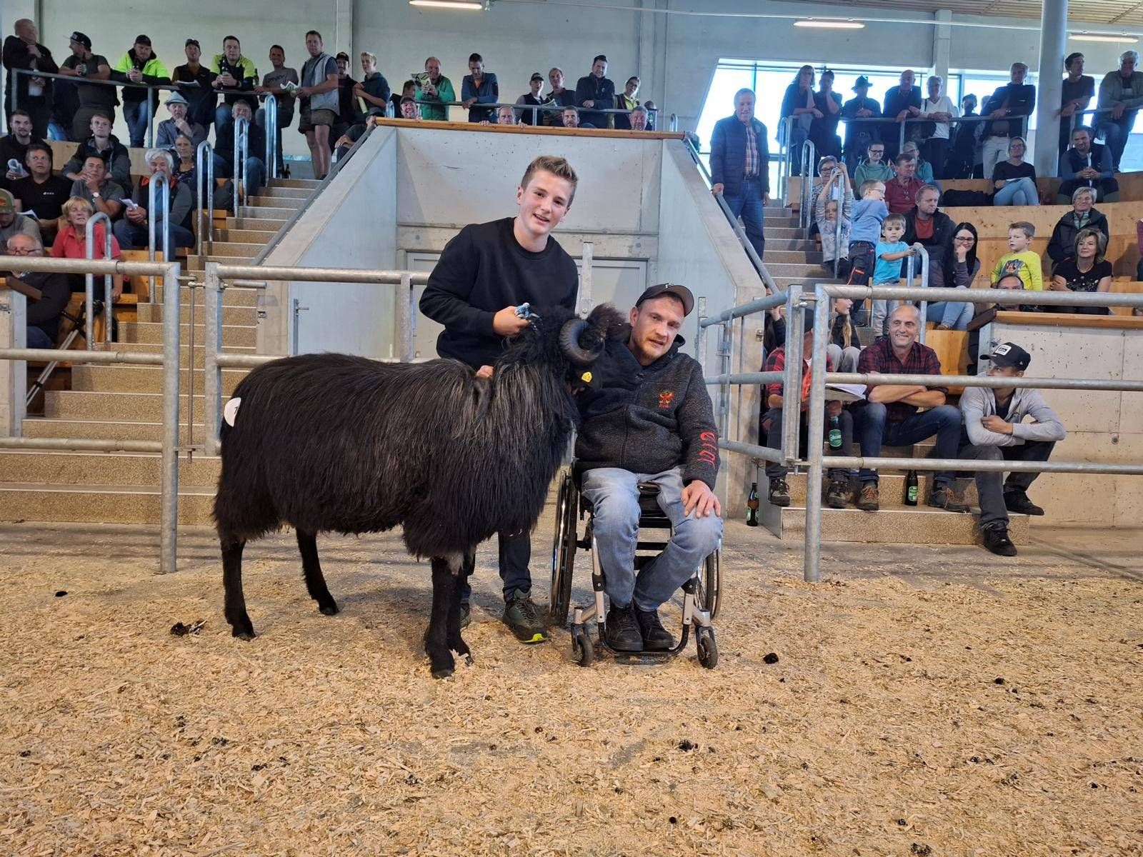 Mit &uuml;ber 4.000 Euro wechselte der teuerste Widder der Auktion den Besitzer. Foto: RGO Lienz