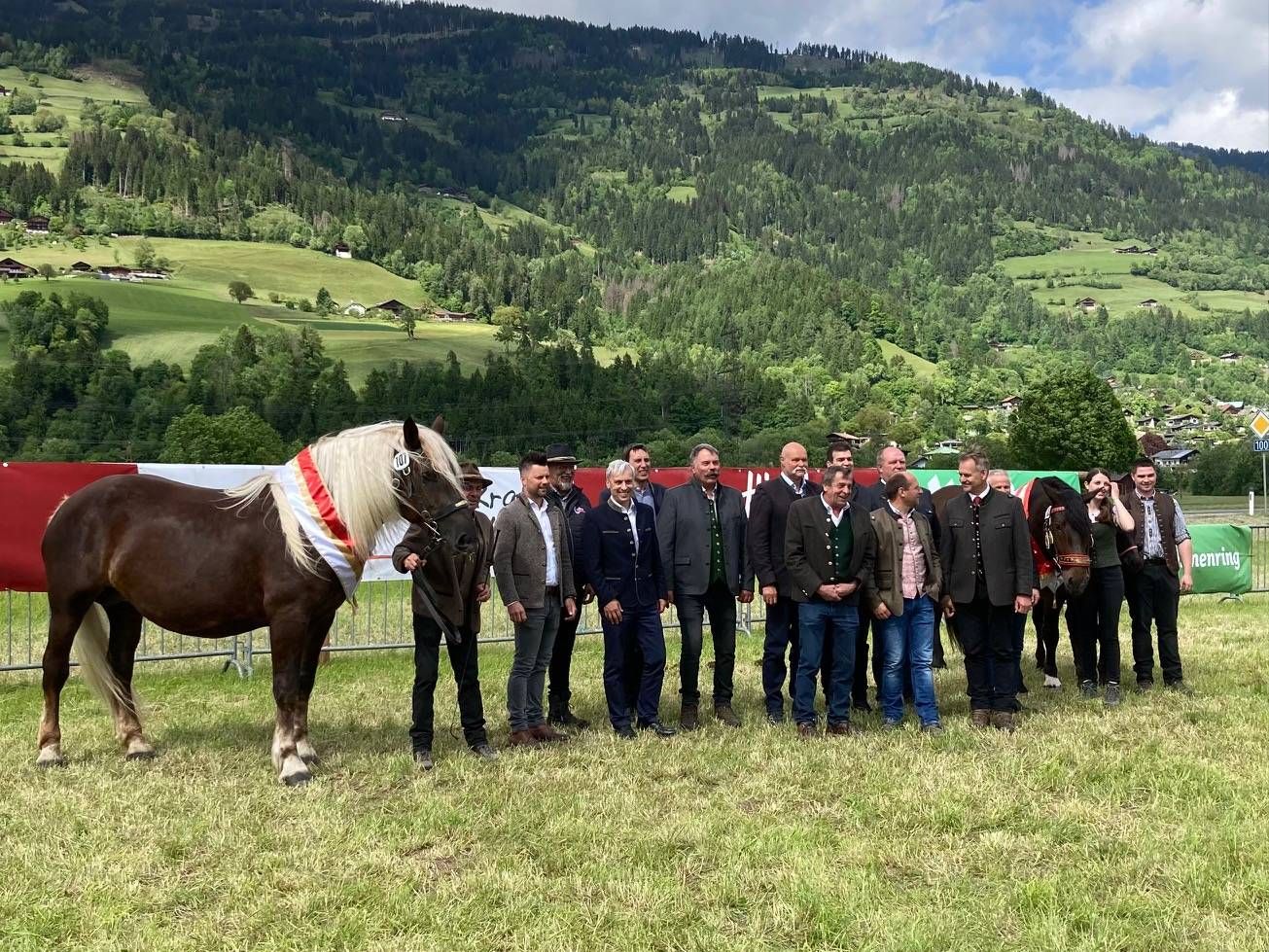 Vertreter des Tiroler Landesverbandes Pferdezucht, Preisrichter und die Nordiroler Gesamtsiegerin "Sabrina" von Josef Schiessl/Kirchberg und Reservesiegerin "Samina" von Hannes Schwemberger/Aldrans. Foto: Stangl
