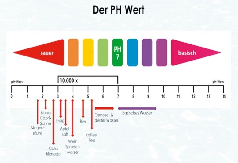 Jungbrunnen basisches Wasser 