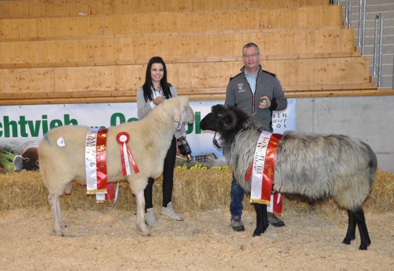 Hohe Qualit&auml;t in Osttirols Schafzucht