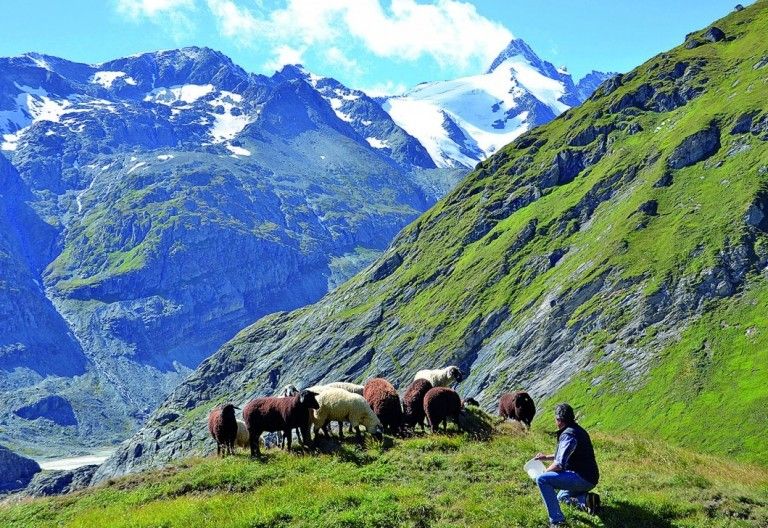 Glocknerlamm-Fest in Heiligenblut 