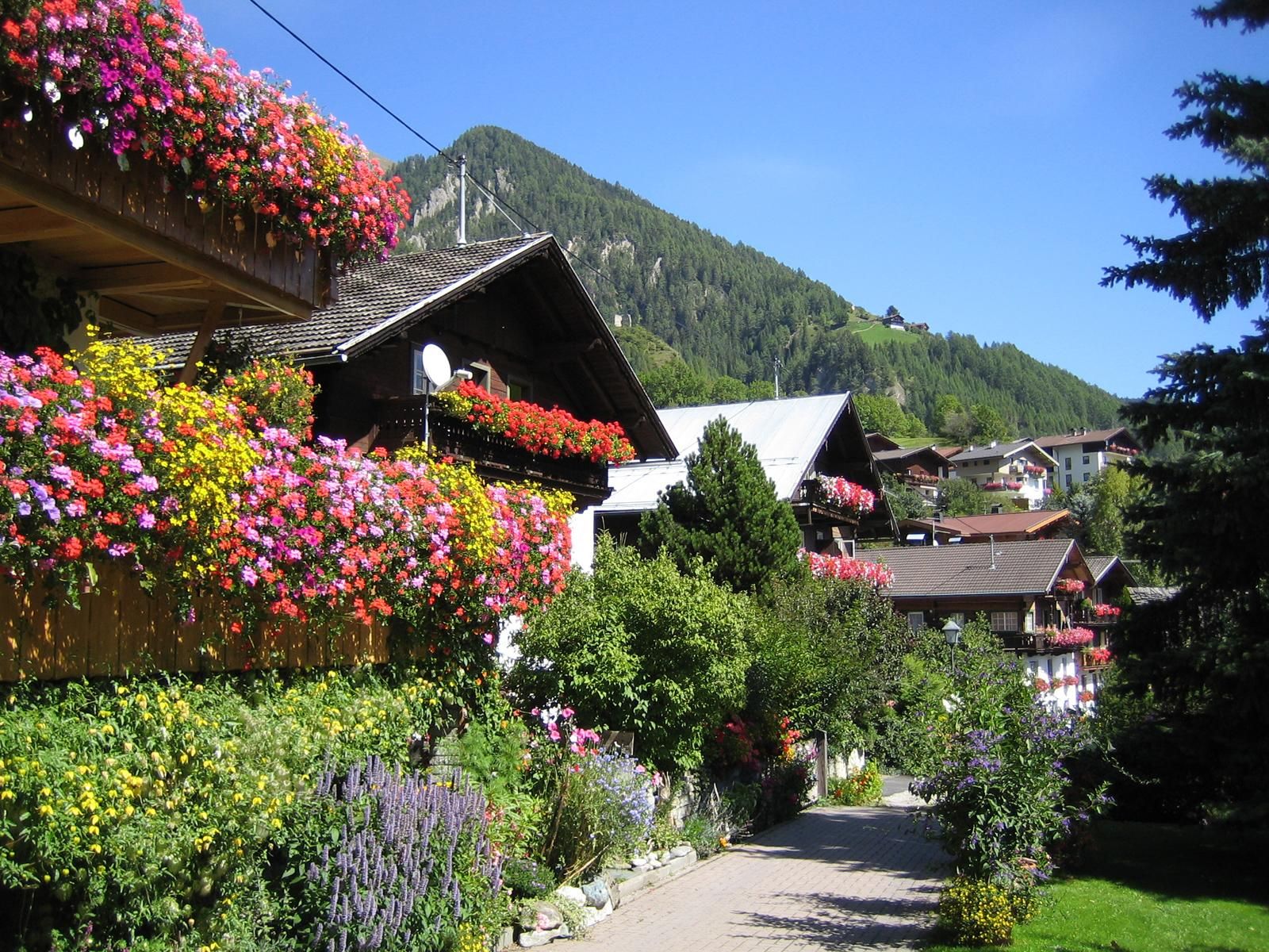 Blumen wohin das Auge reicht
