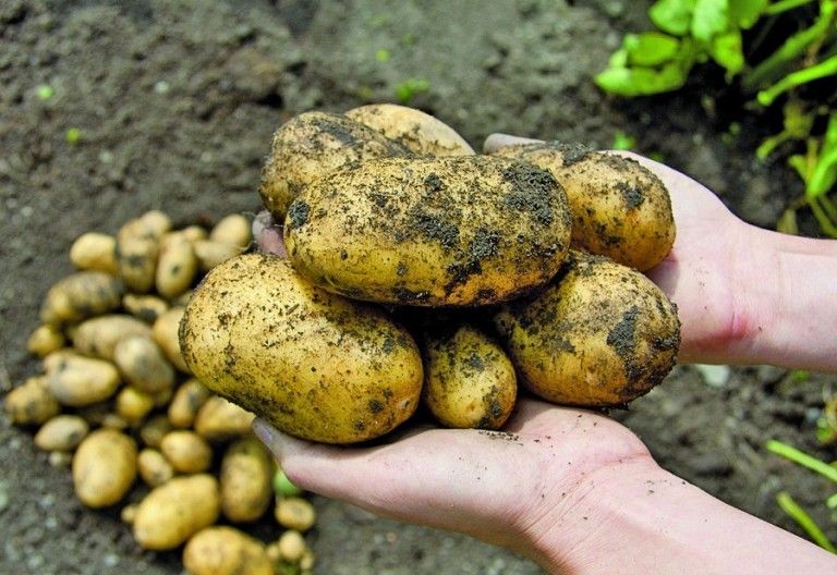 Warum es nicht egal ist, was wir kaufen