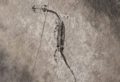 &bdquo;Ein Tag in der Trias&ldquo;