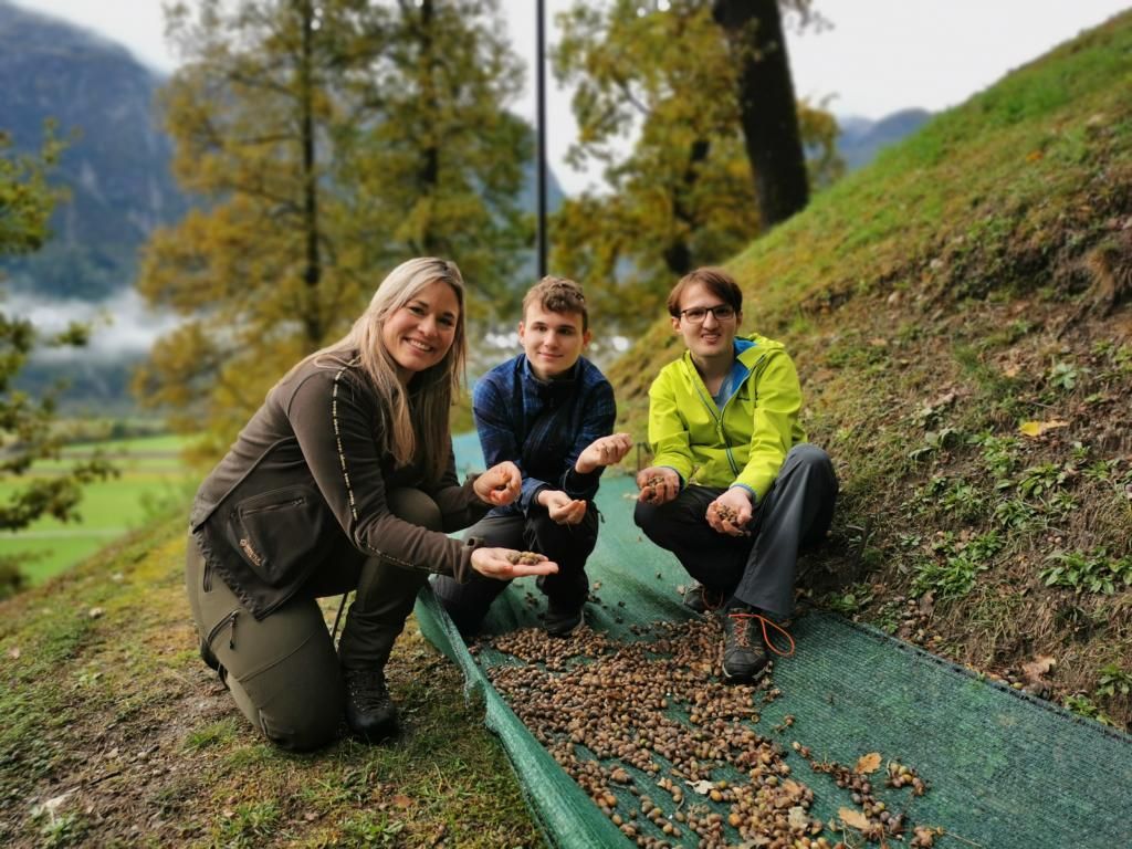 Das flei&szlig;ige Sammler-Team: Kilian Gruber und Thomas Zojer vom AufBauWerk mit der Praktikantin (Bezirksforstinspektion) Antonia Vorwerk, Foto: Artinger