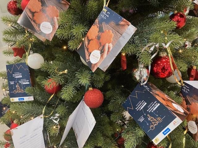 Rund 80 Wunschk&auml;rtchen hingen Montagfr&uuml;h am Baum. Foto: Stangl