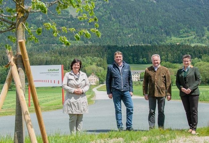 Litzlhof-Linden wachsen wieder