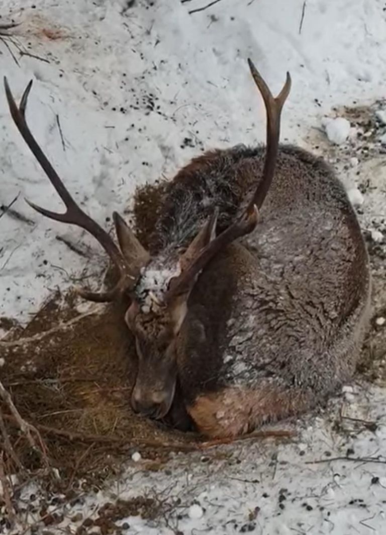 Wintersport und Natur war Thema