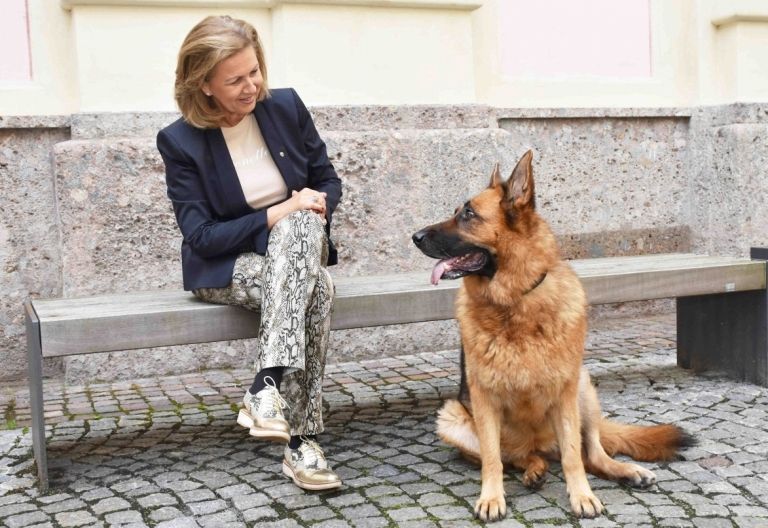 Land Tirol gibt neue Hundebrosch&uuml;re heraus