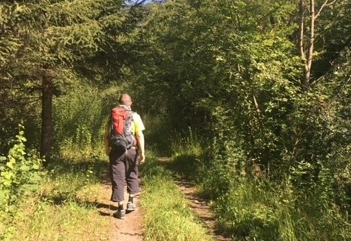 Negativer Naturschutzbescheid f&uuml;r Asphalt-Iselradweg