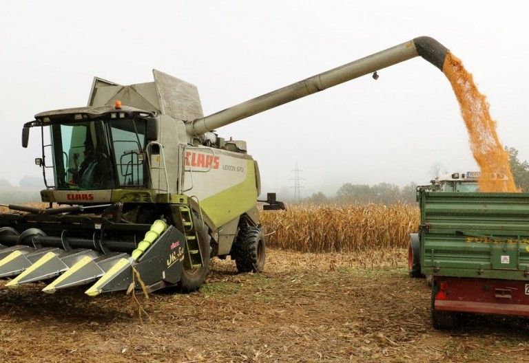 Erntebilanz liegt auf dem Tisch