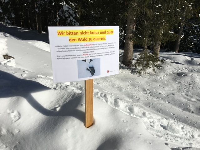 Osttirol ist Vorreiter bei Skitouren-Lenkung 
