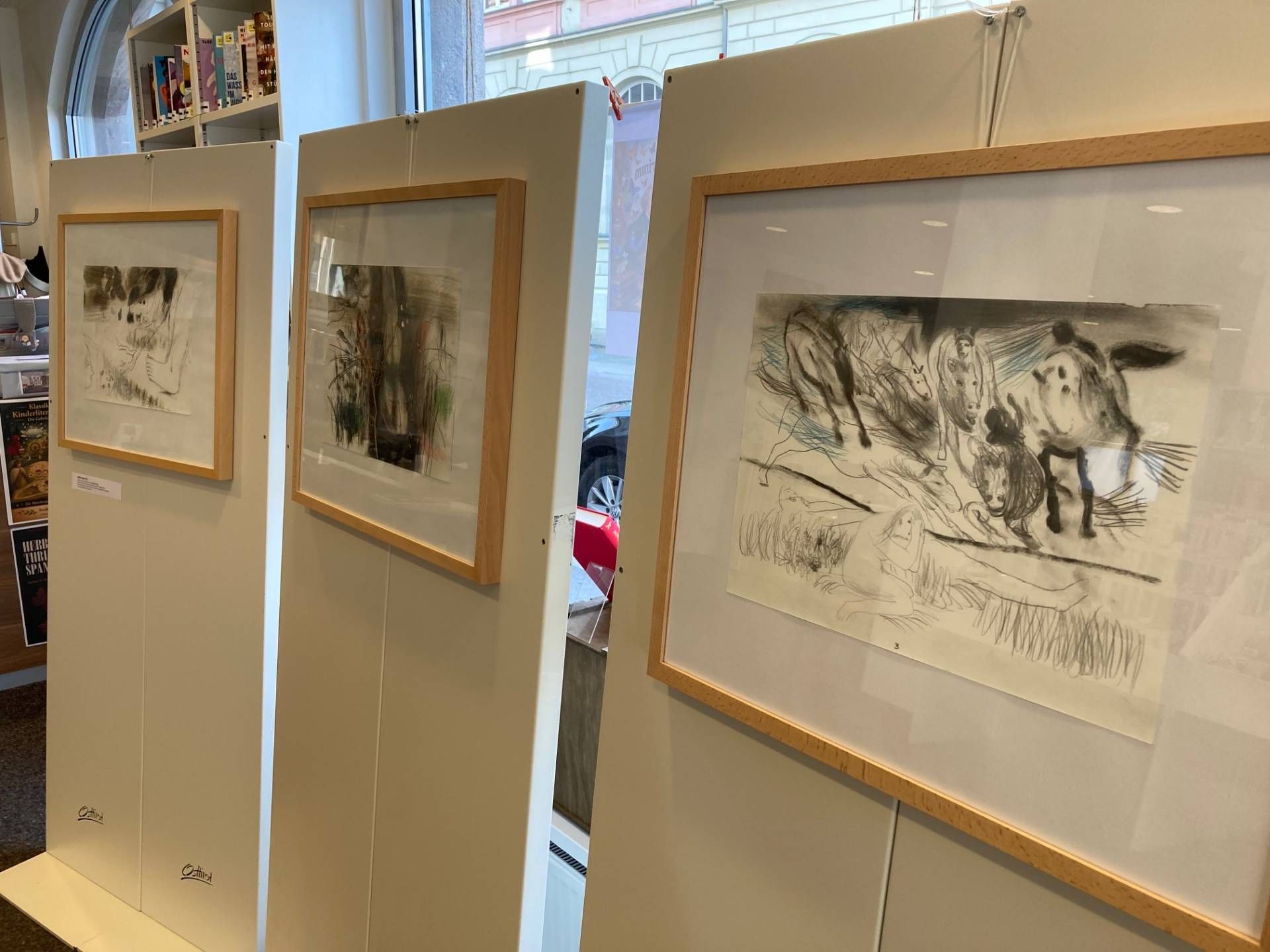 Die Ausstellung von Michael Hedwig ist bis 27. November in der B&uuml;cherei Lienz zu sehen. Foto: Stangl