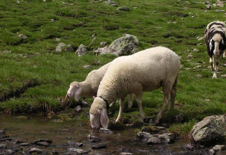 Digitalisierung ist in der Landwirtschaft angekommen