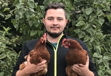 Warum die besten Eier aus Osttirol kommen