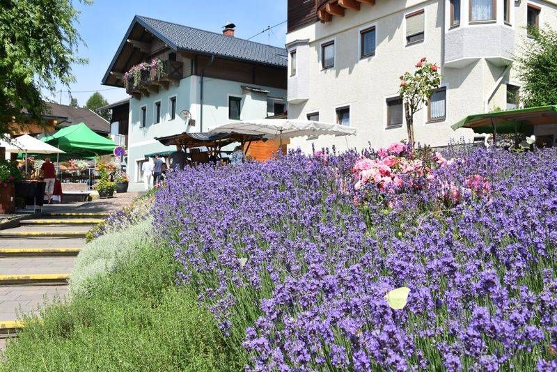 Irschen - eine bl&uuml;hende Pracht.