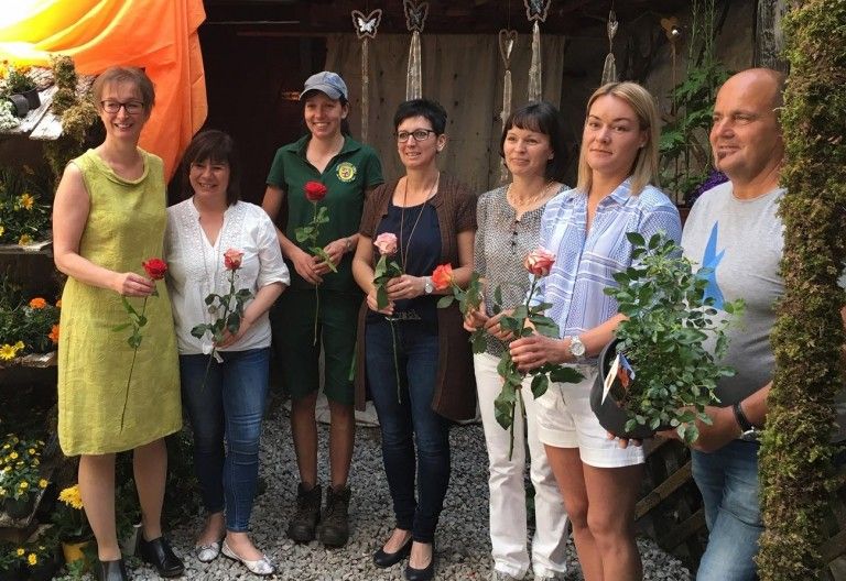 Rosen bl&uuml;hen in der Oberen Altstadt