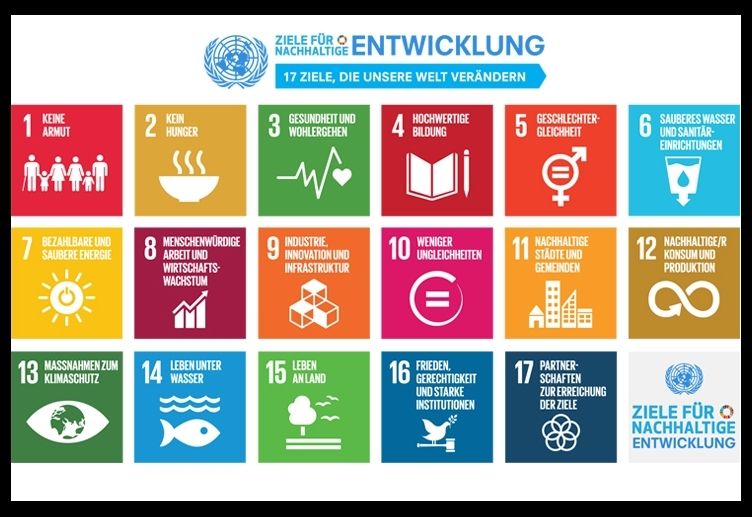 Unter den 17 Zielen: Leben an Land und unter Wasser 