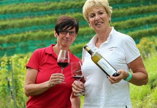 Weinbau auf &bdquo;h&ouml;chstem Niveau&ldquo;