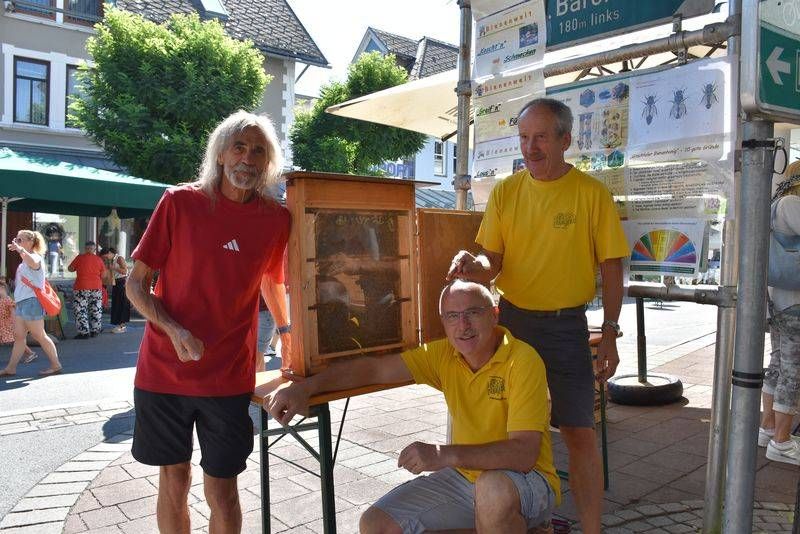 Bei Bernhard Santer, Valentin Grader und Obmann Josef Gratzer vom Bienenzuchtverein Gitschtal darf man Drohnen streicheln, Bienenluft schnuppern oder versuchen herauszufinden, wo sich die markierte Bienenk&ouml;nigin rumtreibt.