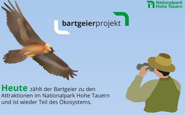 Zum Himmel schauen und Bartgeier z&auml;hlen!