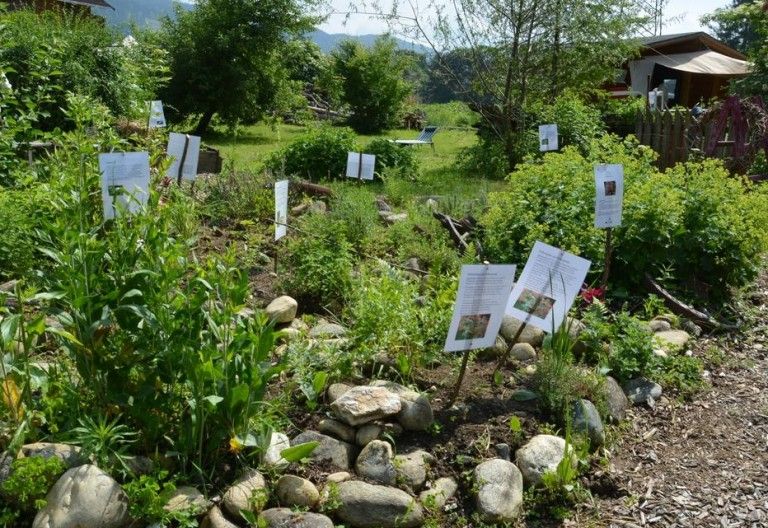 Ackerfest der Lebenshilfe Spittal