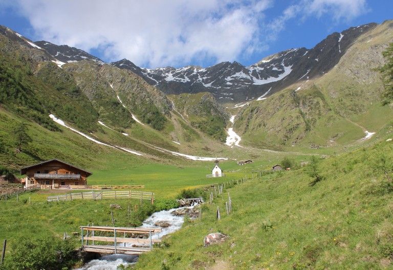 Osttiroler Schafz&uuml;chter freuen sich &uuml;ber guten Almsommer