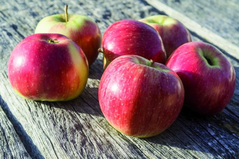 Warum &Auml;pfel hier am besten schmecken