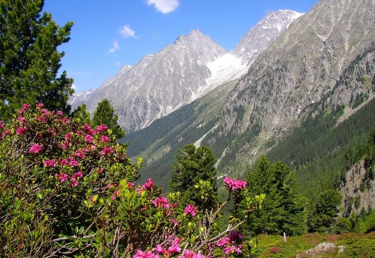 Almrosenfest 2023: Brauchtum, Tradition und neue Ideen